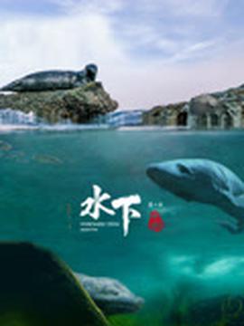 陆小凤传奇第二部