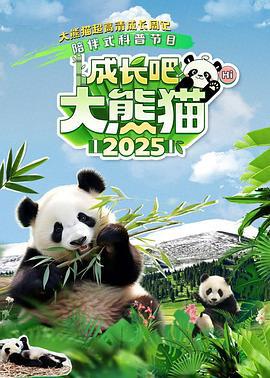 热辣滚烫之傻子崛起