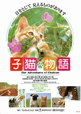 月满心扉